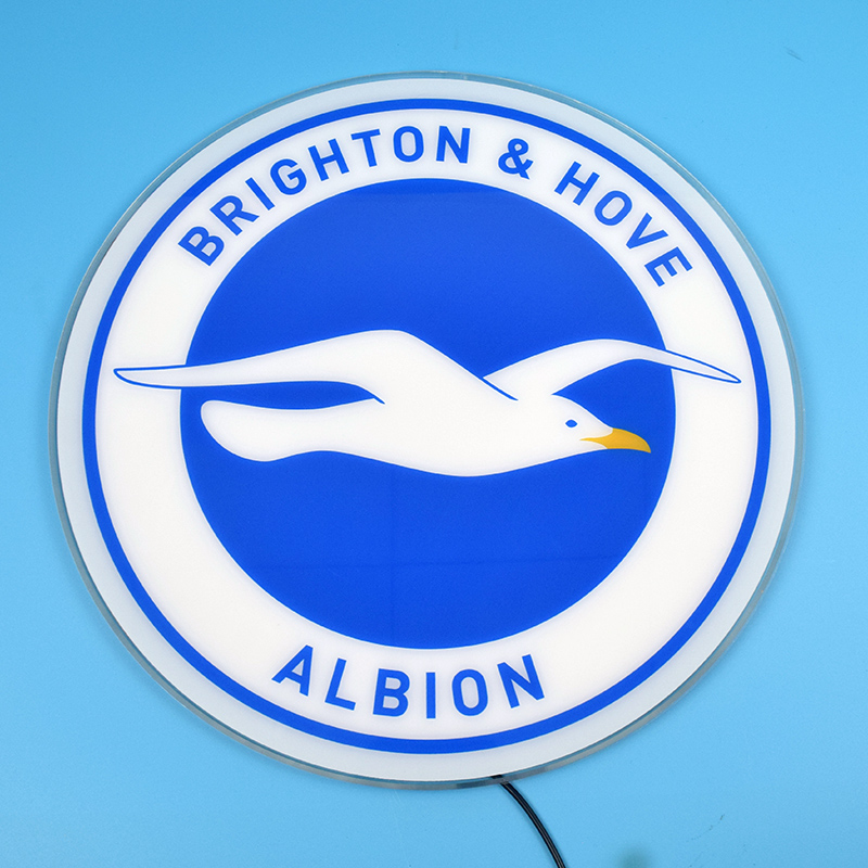 Front view of the Brighton & Hove Albion acrylic panel unlit
